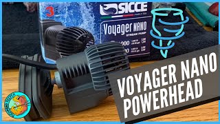 Sicce Voyager Nano  Power Head  Product View [upl. by Farris931]