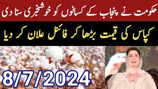 Today cotton price in Punjab Pakistan  حکومت نے کپاس کی قیمت مقرر کر دی [upl. by Jo-Anne781]