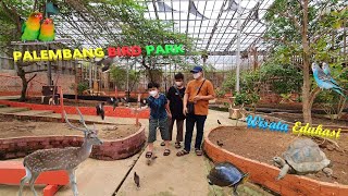 Palembang Bird Park Wisata Edukasi Burung amp Hewan Yang Menyenangkan [upl. by Malva561]