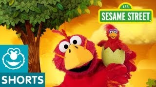 Sesame Street Bird Musical Preview  Elmo the Musical [upl. by Ailina81]