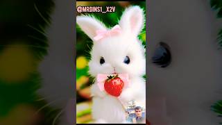 Little rabbit eaten by fruit rabbit cute bunny funny yt besties [upl. by Bethezel]