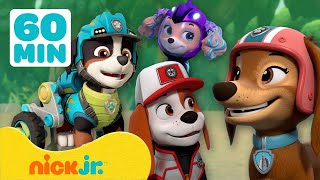 PAW Patrol  Ontmoet de NIEUWE leden van de PAW Patrol  Nick Jr Nederlands [upl. by Arraik]