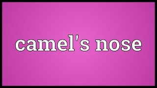 Camels nose Meaning [upl. by Kcirrez419]