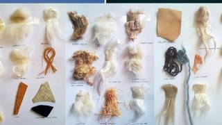 Textile Fiber and Its properties [upl. by Martie]