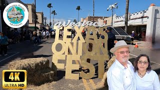 Onion Fest Weslaco Texass Flavorful Fiesta vanlife travel [upl. by Gavette648]