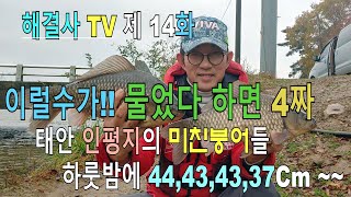 해결사박현철TV 14화 인평지의 사짜대물들 [upl. by Shepp]