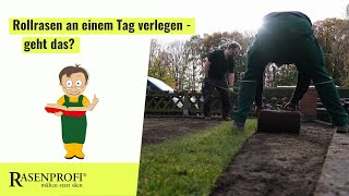 Rollrasen an einem Tag verlegen  geht das [upl. by Annauj208]