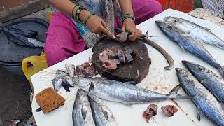 bhayandar fish market  भायंदर फिश मार्केट [upl. by Gildea]