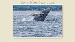 Come Home Year New Harbour 2022 [upl. by Perice]