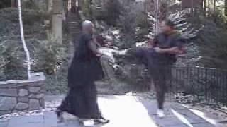 Hsing I XingYi Quan Combat Kung fu [upl. by Sudnak568]