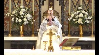 June 27 2024 Holy Mass Memorial of St Cyril of Alexandria Bishop amp Doctor with Fr Borkenhagen [upl. by Ennahgiel720]