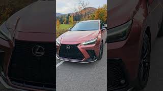 Sickening color or a big WOW Lexus NX 450h [upl. by Nosredna]