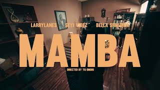 Larrylanes Seyi Vibez Bella Shmurda  Mamba Official Music Video [upl. by Hagood701]