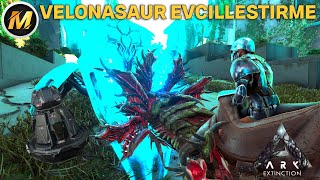 VELONASAUR EVCİLLEŞTİRME I ARK SURVİVAL EVOLVED EXTİNCTİON I BÖLÜM 6  MODSUZ [upl. by Monahon770]