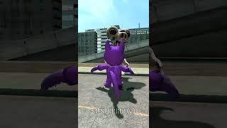 😺 PLUSHIE CAT POPPY PLAYTIME 3 VS ZOONOMALY MONSTERS 🦁  RESCUE CATNAP in Garrys Mod [upl. by Annekcm]