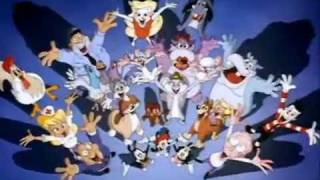 Animaniacs Opening Theme High Quality  Intro HD [upl. by Lytton]