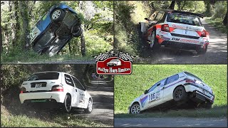 Rallye du Picodon 2022 CRASHES [upl. by Nymrak]