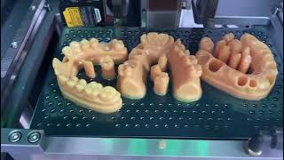 Newest TopDown DLP 3D Printer Prints Tooth Molds [upl. by Narod]