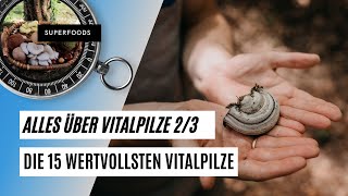 Die 15 wichtigsten Vitalpilze 🌲🍄  und wie Du sie einsetzt [upl. by Kiefer]