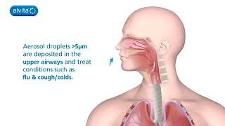 What is a nebuliser The Alvita T2000 Nebulizer [upl. by Cristobal]