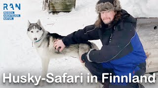 HundeschlittenTouren im Süden Lapplands  HuskyAbenteuer auf der Saija Lodge Finnland 2022 [upl. by Jerad]