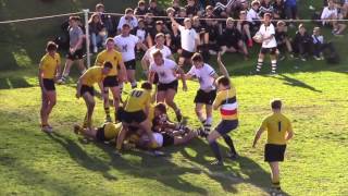 Newington College 1st XV Highlights 2016 [upl. by Perot921]