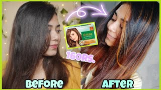 Hair Highlights at Home at just 160 Rs  Streax Ultralights Hair highlighting kit Soft Blonde [upl. by Aicila]