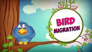 Bird Migration  Bird Facts  Animal Facts for Kids  Bird Facts For Kids  Why Do Birds Migrate [upl. by Maharba]