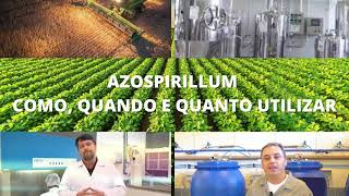 Azospirillum como quando e quanto utilizar I Bioinsumos Brasil [upl. by Pelletier]