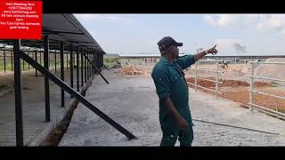 Lern How to simply design 1600 bulls feedlot by Hamiisi Semanda 256773343283 [upl. by Calysta978]