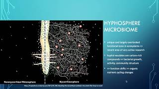 Lesson 44  AMF hyphosphere microbiome hyphobiome [upl. by Yelrebma]