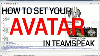 Set Your Avatar in Teamspeak 3 [upl. by Elletsirk178]