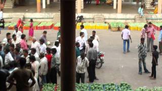 Kesar amp Alphonso Mangos at Viraval Wholesale Market Navsari at 530pm to 615pm [upl. by Refotsirhc]