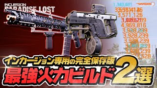 【DIVISION2】超高火力ストライカー200ビルド保存版｜インカージョン｜ウロボロス｜セント・エルモズエンジン【ディビジョン2】 [upl. by Isewk]