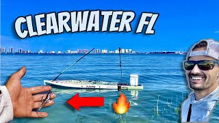 Is Clearwater Florida fishing always this EASY [upl. by Mandal340]