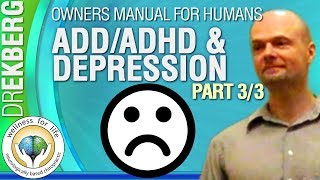 ADD Depression amp Chronic Pain Etc Etc Pt6 33 User Manual 4 Humans [upl. by Ttirrej683]