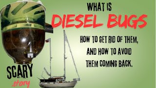 What is fuel bugs or diesel bugs How to get rid of them and how to avoid them coming back [upl. by Aitetel]