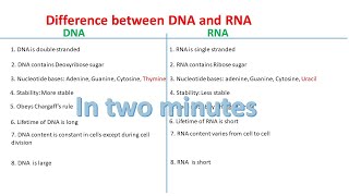 Memorize Nucleotide in Structure of DNA amp RNA in 2mins [upl. by Ahsenod112]