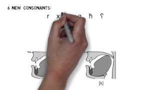 Arabic Video 2 DRAFT Consonants [upl. by Ezaria506]