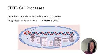 STAT3 DNA Binding Protein IPD [upl. by Hollister162]