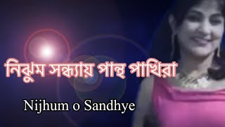 নিঝুম সন্ধ্যায়  Nijhumo Sandhya Pantho Pakhira  Lata Mangeshkar  Lirika Shukla [upl. by Jahdol]