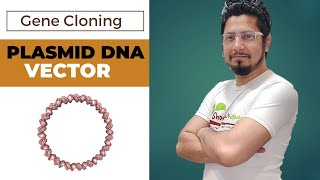 Plasmid DNA vector in gene cloning  plasmid vector  pbr322 vector  puc 19 vector [upl. by Hube]