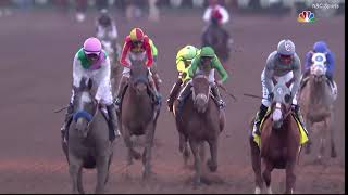 Arrogate Career Highlights [upl. by Josselyn]