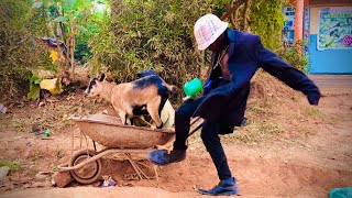 Gravity Omutujju Ft Mzee Jjemba  Tusimbudde  UGAdance Kids Africa  Ba bad boys 😂 [upl. by Ynatsyd]