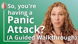 Having a Panic Attack The AntiStruggle Technique A Guided Walkthrough to Stop a Panic Attack [upl. by Mahla413]