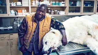 Man Unleashes Ancient Parasite by Taking Photo With Dead Polar Bear [upl. by Janus]