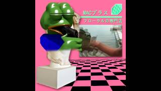 MACINTOSH PLUS BETA  REEEEEEE 420  通常の近代 [upl. by Neelyhtak]