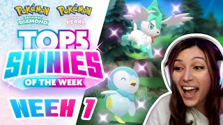 TOP 5 SHINY REACTIONS of the WEEK EPIC SHINIES Pokemon Brilliant Diamond and Shining Pearl [upl. by Zerla931]