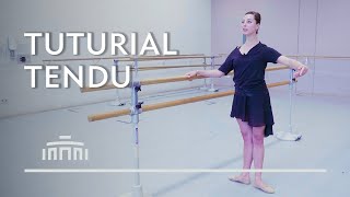 Tendu  Tuturial 1 Ballet exercises  Dutch National Ballet [upl. by Ray29]