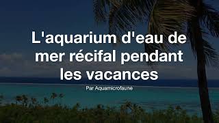 Laquarium deau de mer récifal pendant les vacances [upl. by Barbey]